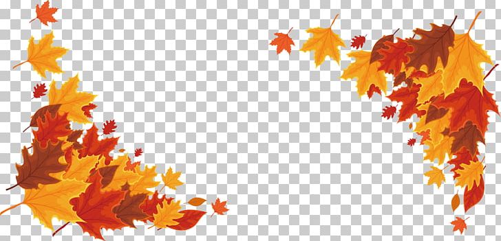Red Maple Maple Leaf PNG, Clipart, Adobe Illustrator, Autumn, Autumn Leaf Color, Border, Border Frame Free PNG Download