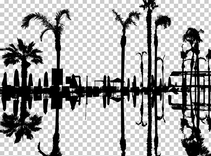 Tree Arecaceae Sunset Sunrise Reflection PNG, Clipart, Arecaceae, Black And White, Branch, Dawn, Flowering Plant Free PNG Download