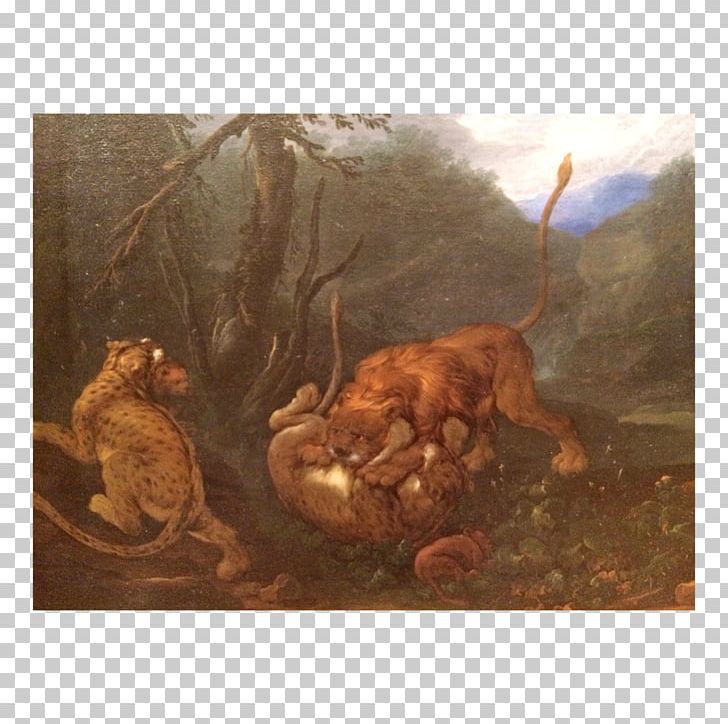 Carnivora Still Life Stock Photography Fauna Wildlife PNG, Clipart, Carnivora, Carnivoran, Fauna, Organism, Painted Animals Free PNG Download