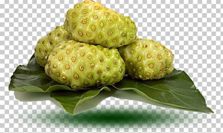 Cheese Fruit Noni Juice Auglis Health PNG, Clipart, Aceh, Aneka, Annona, Auglis, Capsule Free PNG Download