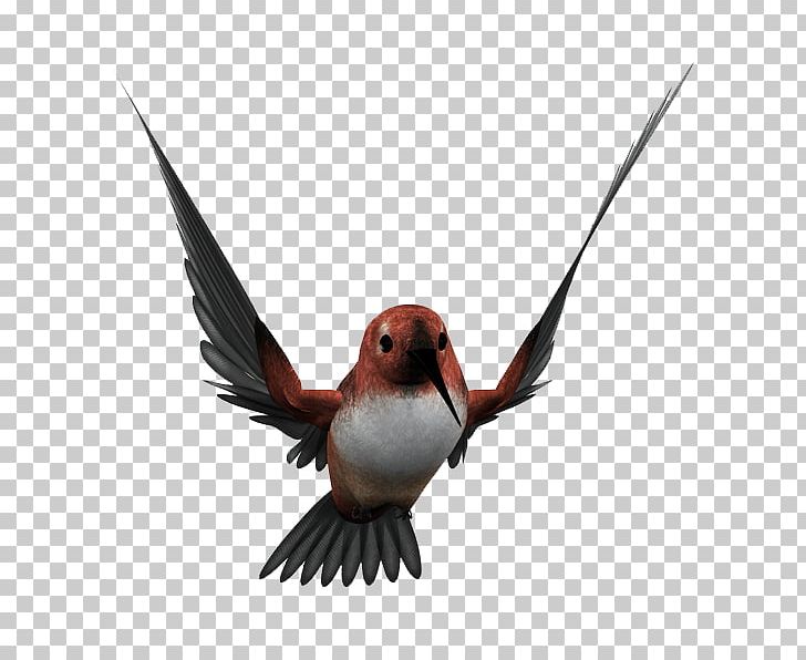 Bird PNG, Clipart, 3 D, Animals, Beak, Bird, Blackcapped Kingfisher Free PNG Download