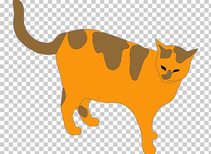 Havana Brown Kitten Tabby Cat PNG, Clipart, Animal Figure, Animals, Animation, Calico Cat, Carnivoran Free PNG Download