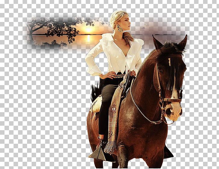 Horse Fashion Equestrian Photography PNG, Clipart, Animals, Bit, Bridle, Clothing, Cowboy Free PNG Download