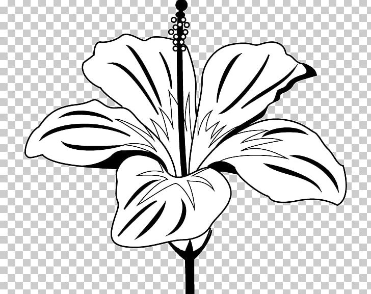 Rosemallows Drawing ハイビスカス PNG, Clipart, Art, Artwork, Black And White, Branch, Coloring Book Free PNG Download