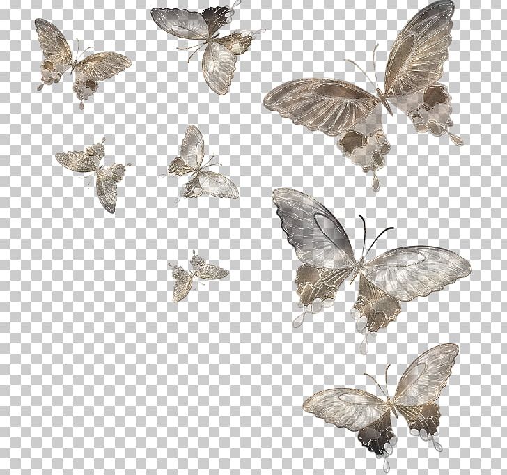 Butterfly Moth Insect PNG, Clipart, Abziehtattoo, Animal, Animation, Arthropod, Bombycidae Free PNG Download