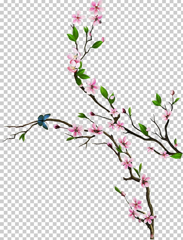 Floral Design Blossom Cut Flowers ST.AU.150 MIN.V.UNC.NR AD PNG, Clipart, Blossom, Branch, Cherry, Cherry Blossom, Cut Flowers Free PNG Download