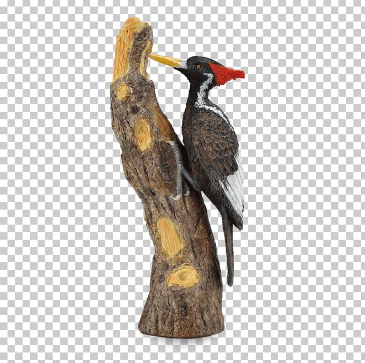 Ivory-billed Woodpecker Bird AAD TOTAL ADMINISTRATION SRL Horse PNG, Clipart, Animal, Animal Figurine, Animals, Beak, Bill Free PNG Download