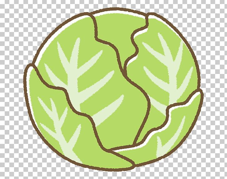 Tonkatsu Cabbage Vegetable Food Christmas Cake PNG, Clipart, Area, Artwork, Cabbage, Christmas Cake, Circle Free PNG Download
