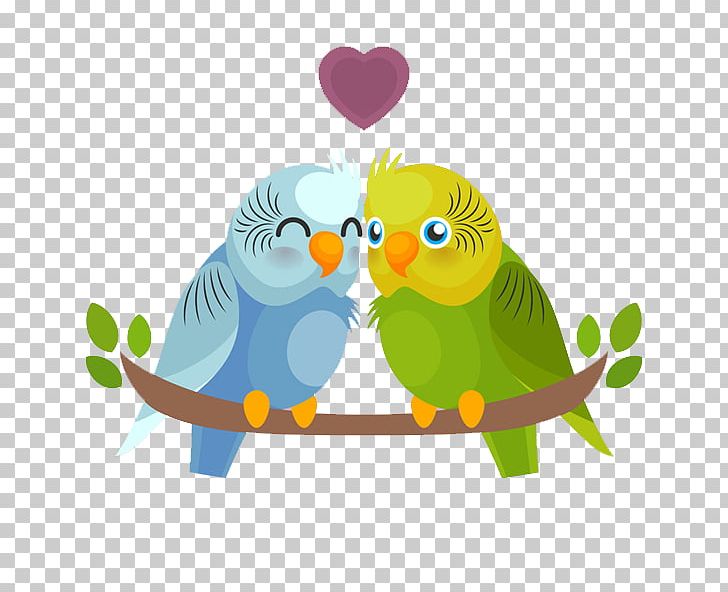 Bird Budgerigar Parrot PNG, Clipart, Animals, Appointment, Art, Beautiful, Color Free PNG Download