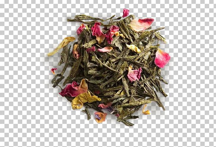 Green Tea Earl Grey Tea Masala Chai English Breakfast Tea PNG, Clipart, Assam Tea, Bai Mudan, Bancha, Bergamot Orange, Black Tea Free PNG Download