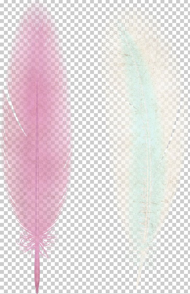 Pink Ribbon Feather PNG, Clipart, Animals, Color, Download, Elegant, Feather Free PNG Download