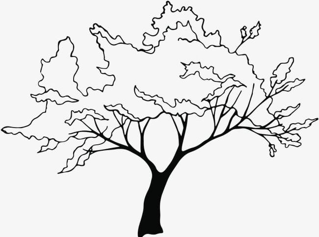 Clip Art Tree Black And Whote ~ PNG-clipart