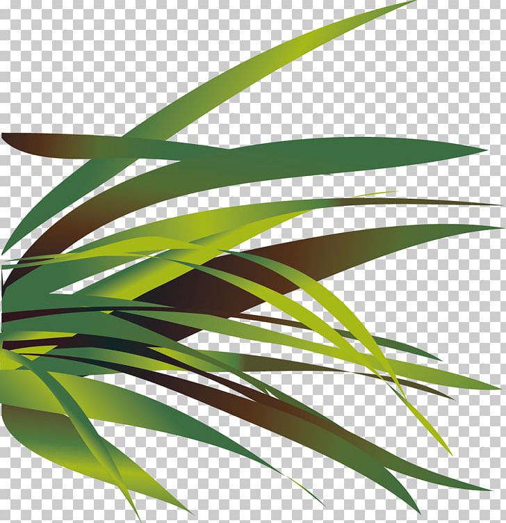 Aloe PNG, Clipart, Adobe Illustrator, Aloe, Aloe Plant, Aloe Vector, Aloe Vera Free PNG Download