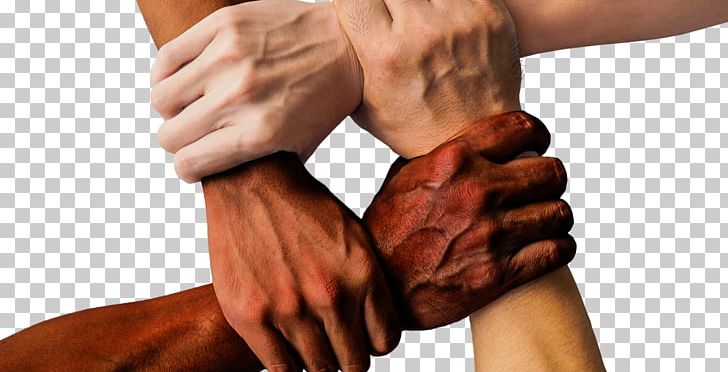 Cultural Diversity Multiculturalism Organization Inclusion PNG, Clipart, Abdomen, Affirmative Action, Arbeit, Arm, Business Free PNG Download