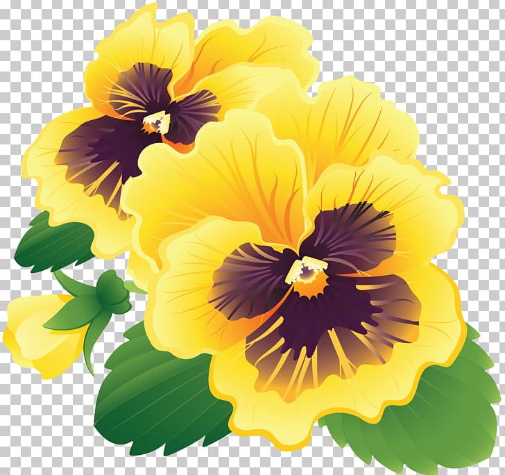 Flower PNG, Clipart, Annual Plant, Cut Flowers, Encapsulated Postscript, Floristry, Flower Free PNG Download