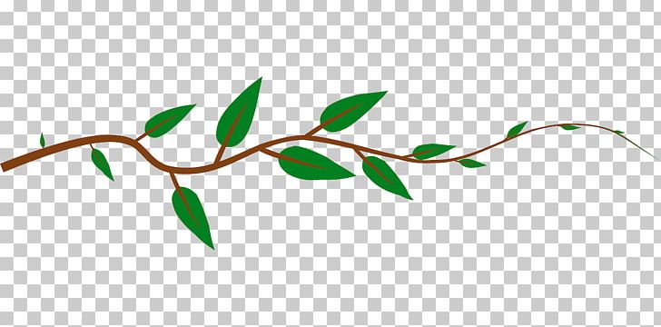 Vine PNG, Clipart, Branch, Clip Art, Download, Drawing, Green Free PNG Download