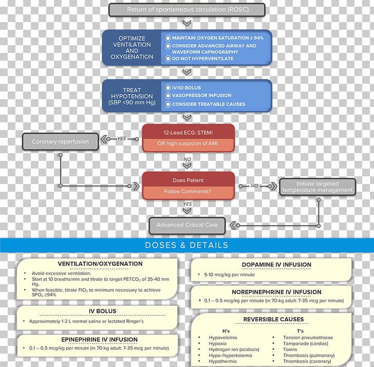 Advanced Cardiac Life Support Cardiology Cardiac Arrest Cardiovascular Disease Asystole PNG, Clipart, Acute Coronary Syndrome, Advanced, American Heart Association, Arrest, Care Free PNG Download