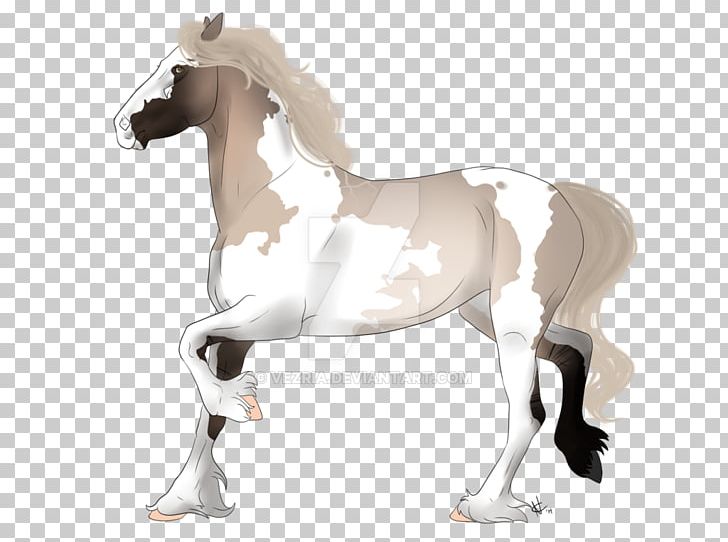 Foal Stallion Mare Colt Pony PNG, Clipart, Animal Figure, Breed, Bridle, Colt, Deviantart Free PNG Download