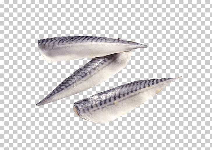 Pacific Saury Fish Fillet Seafood Mackerel PNG, Clipart, Anchovy, Animals, Animal Source Foods, Atlantic Mackerel, Bony Fish Free PNG Download