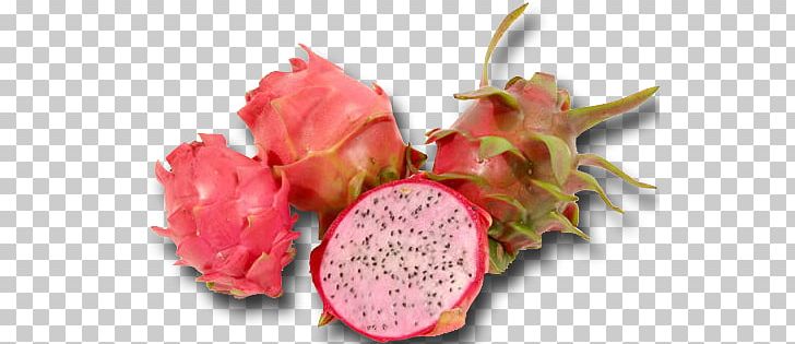 Pitaya White-fleshed Pitahaya Fruit Auglis Vegetable PNG, Clipart, Anywhere, Auglis, Color, David Bowie, Dragonfruit Free PNG Download