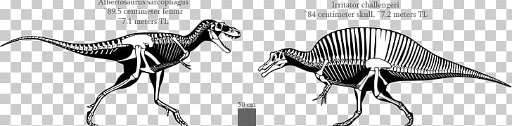 Albertosaurus Spinosaurus Irritator Gorgosaurus Baryonyx PNG, Clipart, Albertosaurus, Albian, Ankylosaurus, Carnivoran, Dog Like Mammal Free PNG Download