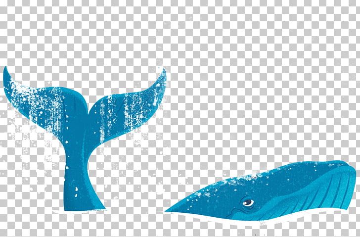 Water Marine Biology PNG, Clipart, Aqua, Baby Whale, Biology, Dolphin, Electric Blue Free PNG Download