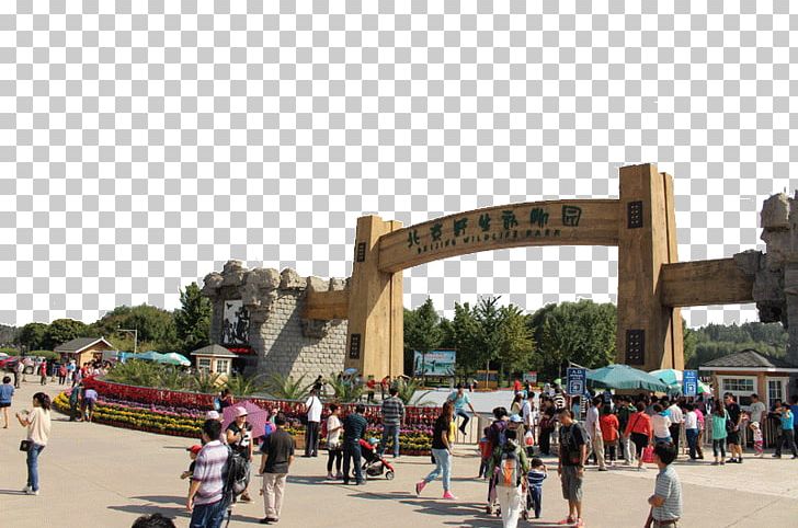 Beijing Wildlife Park Badaling Beijing Wild Animal Park Uff08Northwest Gate 2uff09 Zoo Safari Park PNG, Clipart, Amusement Park, Badaling, Beijing, Beijing Wildlife Park, Car Park Free PNG Download