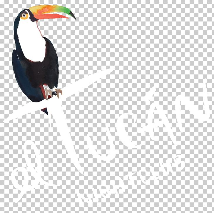 El Tucán Toucan Mr | Hospitality Nightclub Restaurant PNG, Clipart, Beak, Bird, Bottle Service, Brickell, Cabaret Free PNG Download