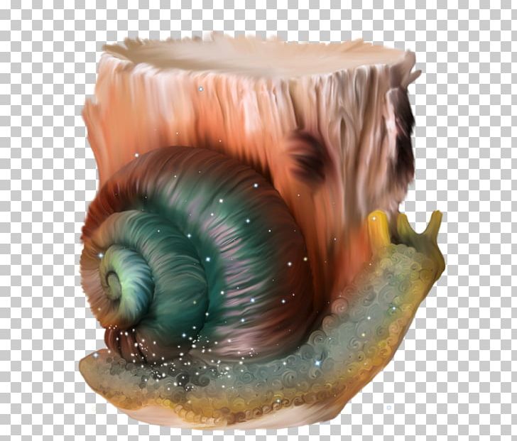Snail Escargot Orthogastropoda PNG, Clipart, Animal, Animals, Cartoon, Computer Software, Escargot Free PNG Download