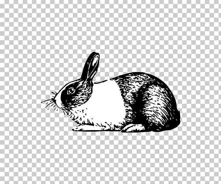 Angora Rabbit Dutch Rabbit Domestic Rabbit PNG, Clipart, Angora Rabbit, Animal, Black, Black And White, Domestic Rabbit Free PNG Download