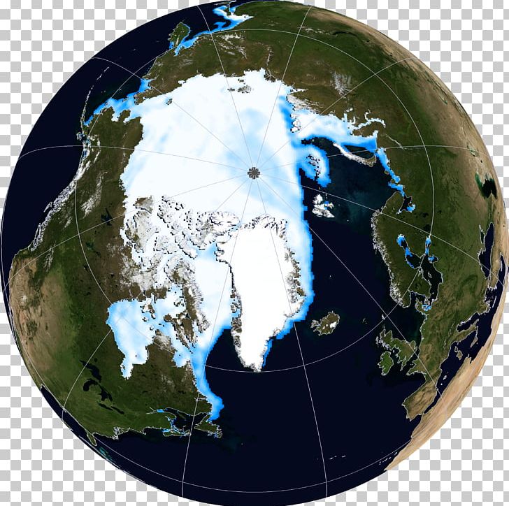 Arctic Ocean Beaufort Sea Polar Bear Arctic Ice Pack National Snow And Ice Data Center PNG, Clipart, Animals, Arctic, Arctic Ice Pack, Arctic Ocean, Arctic Sea Ice Decline Free PNG Download