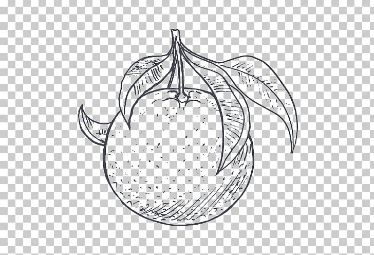 Grapefruit Food Drawing Leaf Sketch PNG, Clipart, Artwork, Auglis, Black And White, Branch, Cherry Free PNG Download