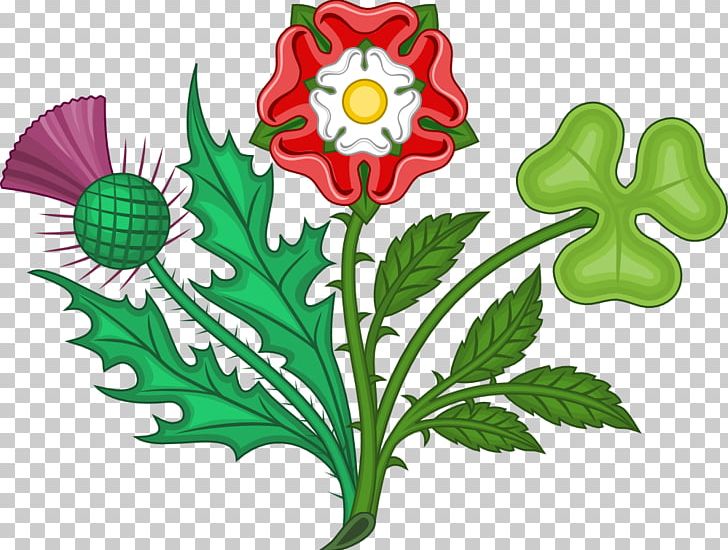 England Tudor Rose House Of Tudor House Of Lancaster PNG, Clipart, Artwork, Badge, Botany Pictures, Coat Of Arms, Cut Flowers Free PNG Download