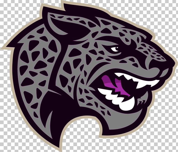 Lyndon B. Johnson High School Jacksonville Jaguars Lyndon B. Johnson School Of Public Affairs PNG