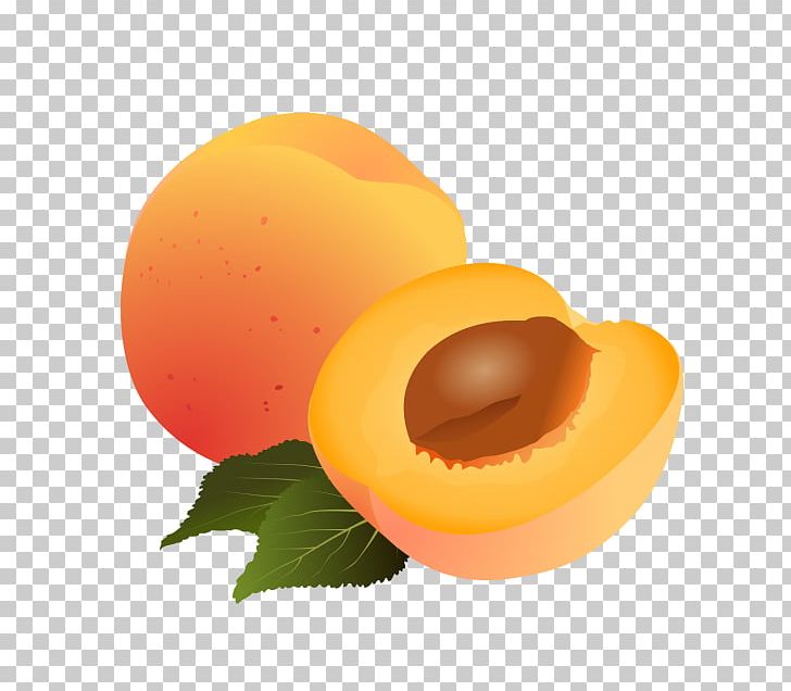Apricot Drawing Fruit PNG, Clipart, Apricot, Auglis, Cartoon, Diagram, Drawing Free PNG Download