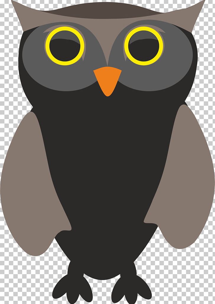 Bird Owl PNG, Clipart, Animals, Beak, Bird, Bird Of Prey, Owl Free PNG Download