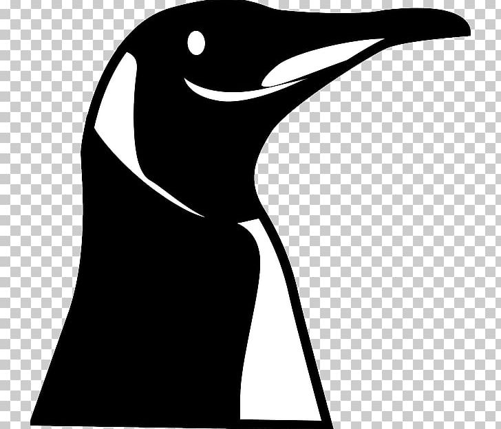 Emperor Penguin Bird PNG, Clipart, Animals, Artwork, Beak, Bird, Black And White Free PNG Download