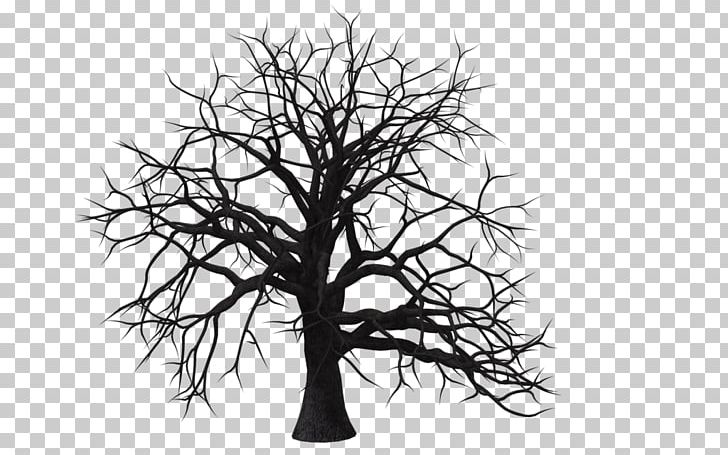 Genealogy Family Tree E.C. Scranton Memorial Library Central Library Ancestor PNG, Clipart, Ancestor, Black And White, Branch, Child, Community Free PNG Download