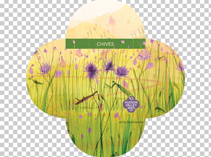 Hudson Valley Seed Company Flower Zinnia Pollinator PNG, Clipart, Art, Bird Food, Catnip, Chives, Flower Free PNG Download