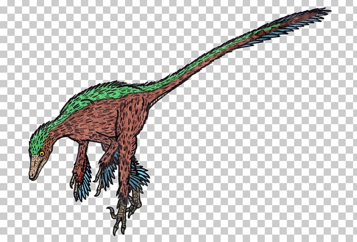 Troodontidae Velociraptor Dinosaur Utahraptor PNG, Clipart, Anchiornis, Animal Figure, Beak, Claw, Dinosaur Free PNG Download