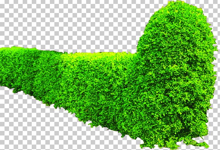 Shrub Greening Hedge PNG, Clipart, Autodesk 3ds Max, Background Green, Bush, Bushes, Garden Free PNG Download