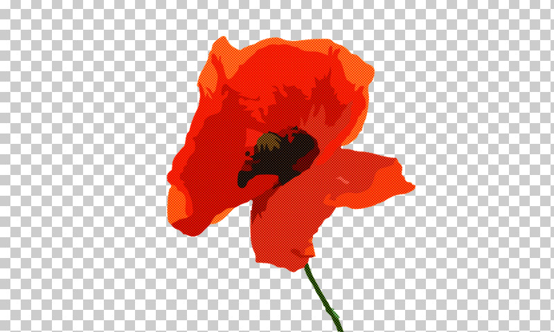 Common Poppy Oriental Poppy Poppy California Poppy Petal PNG, Clipart, California Poppy, Common Poppy, Eschscholzia, Oriental Poppy, Petal Free PNG Download