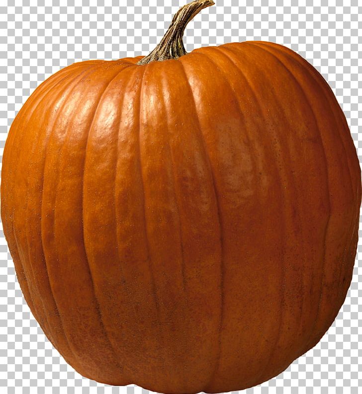 Los Angeles Dodgers Cucurbita Maxima Jack-o'-lantern Pumpkin Carving PNG, Clipart, Calabaza, Carl Erskine, Carving, Commodity, Cucumber Gourd And Melon Family Free PNG Download