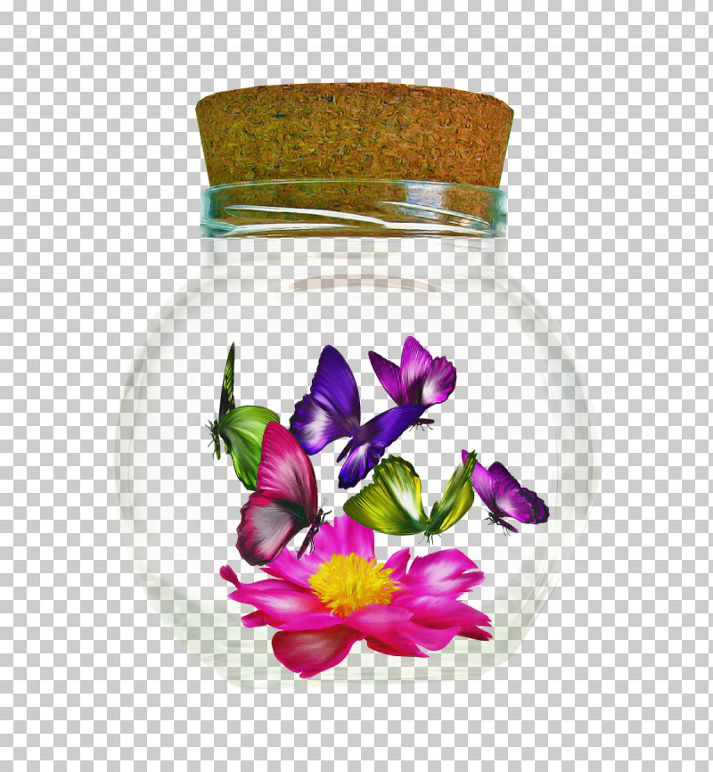 Purple Flower Violet Plant Petal PNG, Clipart, Cattleya, Flower, Glass, Herbaceous Plant, Iris Free PNG Download