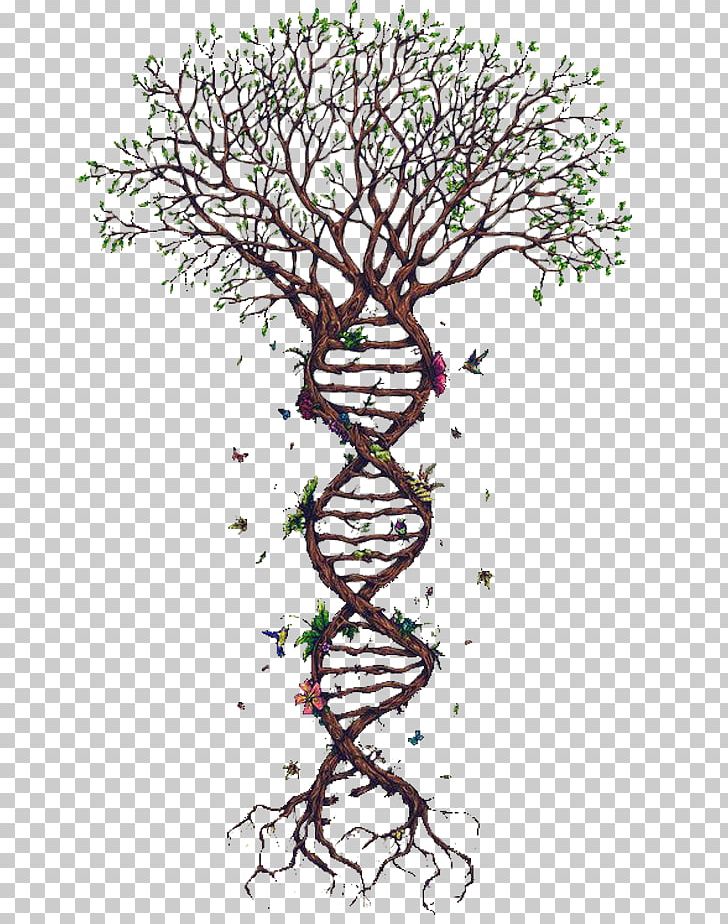 Spiral Tree PNG, Clipart, Biology, Branch, Butterfly, Chain Gene, Crown Free PNG Download