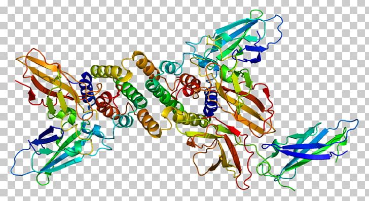 Interferon Gamma Receptor 1 Interferon-gamma Receptor PNG, Clipart, Area, Art, Cluster Of Differentiation, Gamma, Gene Free PNG Download