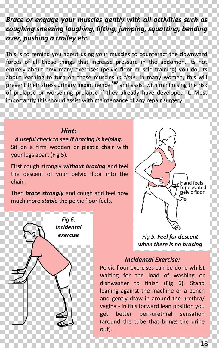 Pelvic Floor Essentials Pelvis Muscle Anatomy PNG, Clipart, Anatomy, Angle, Area, Arm, Diagram Free PNG Download