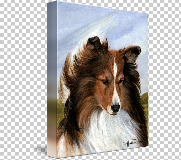 Rough Collie Shetland Sheepdog Scotch Collie Dog Breed Old English Sheepdog PNG, Clipart, Art, Breed, Canvas, Carnivoran, Collie Free PNG Download