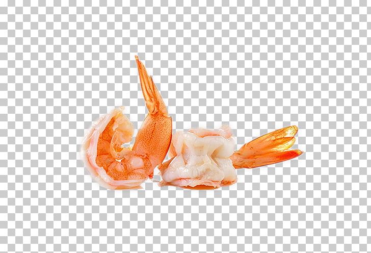 Cocktail Sashimi Caridea Shrimp Seafood PNG, Clipart, Animals, Animal Source Foods, Brunch, Caridea, Caridean Shrimp Free PNG Download