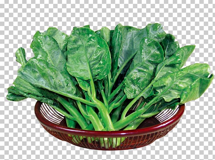 Chinese Broccoli Kale Spring Greens Food Romaine Lettuce PNG, Clipart, Bamboo Border, Bamboo Leaves, Bamboo Tree, Basket, Basket Of Apples Free PNG Download